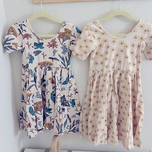 Short Sleeve Ballet Dresses (2) from Alice + Ames size small (4T)